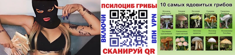 Псилоцибиновые грибы GOLDEN TEACHER  Мышкин 